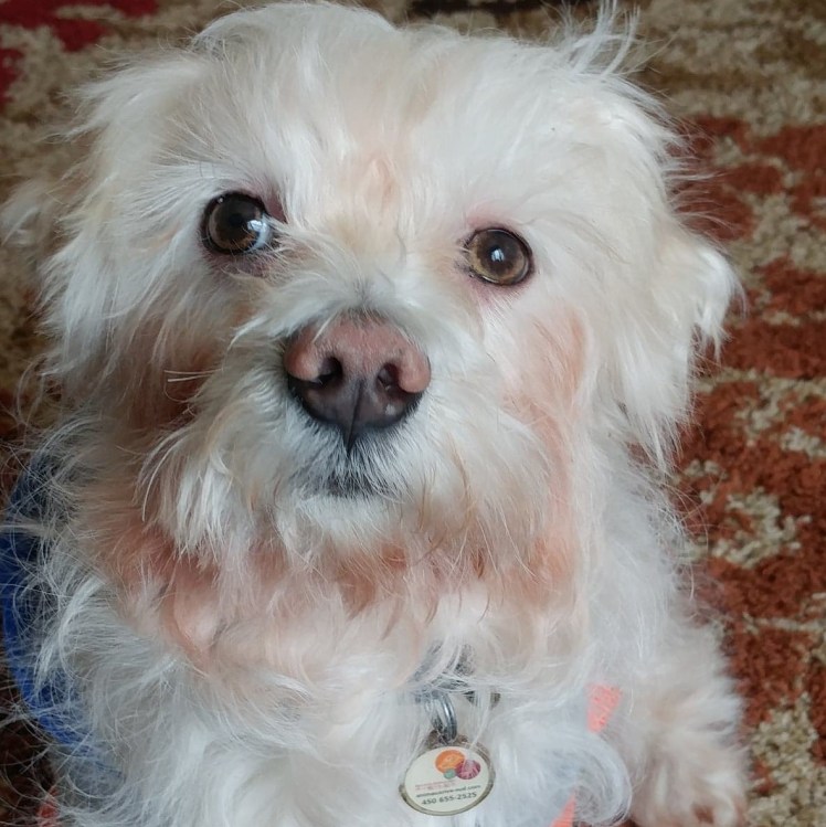 49210696_597783787330025_443805215578128384_n