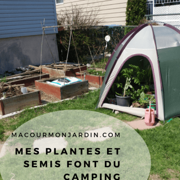 des plante et semis dans une petite tente de camping